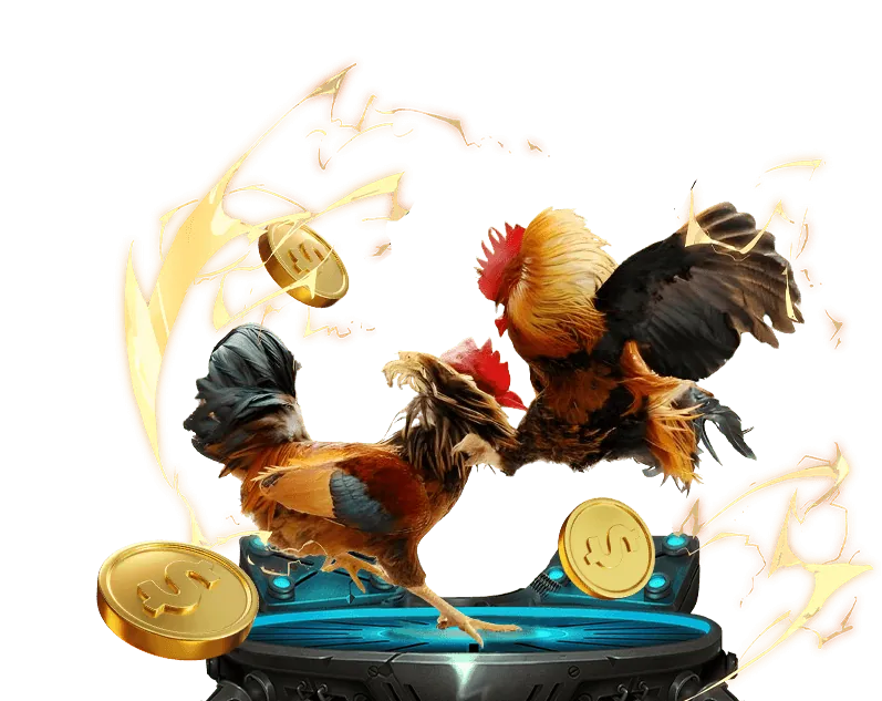 Hình ảnh minh họa các chương trình khuyến mãi và ưu đãi cá cược đá gà